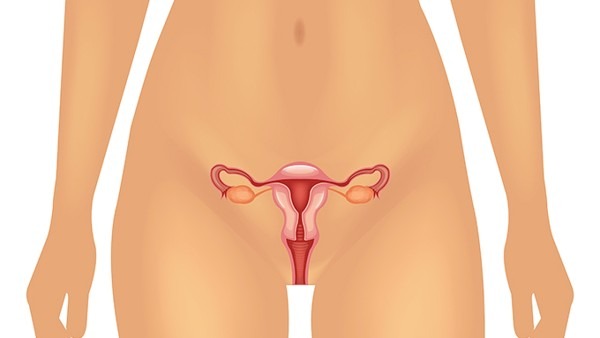 子宫内膜薄需要查激素六项吗