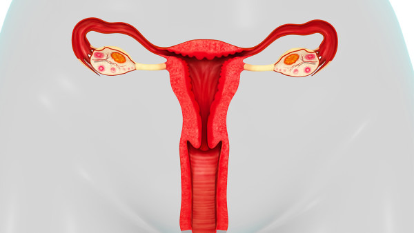 子宫内膜薄飞龙游戏平台变厚